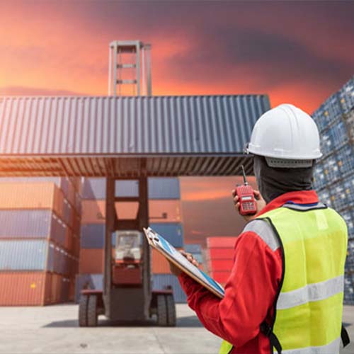 Import Clearance Service